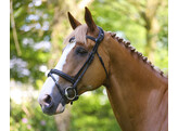 Bridle LEGENDARY