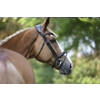 Bridle LEGENDARY