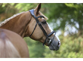 Bridle LEGENDARY