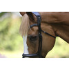 Bridle LEGENDARY