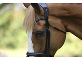 Bridle LEGENDARY