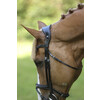 Bridle LEGENDARY