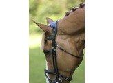 Bridle LEGENDARY