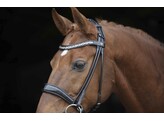 Bridle SARRA