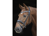 Bridle SARRA
