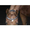 Bridle SARRA