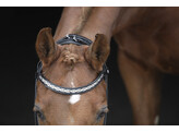 Bridle SARRA