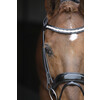 Bridle SARRA