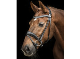 Bridle SARRA