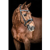 Bridle SARRA