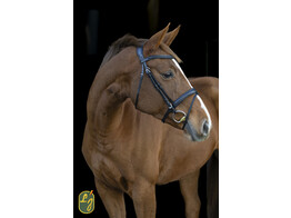 Bridle TRESS flash noseband