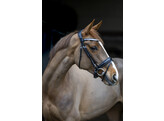 Bridon SERENTY musserole dressage avec vernis - Cob noir