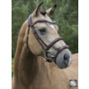 Bridle LEGACY / GOTHA