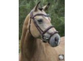 Bridon LEGEND / GOTHA