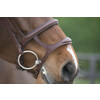 Bridon LEGEND / GOTHA