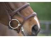 Bridon LEGEND / GOTHA